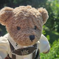 Teddybär