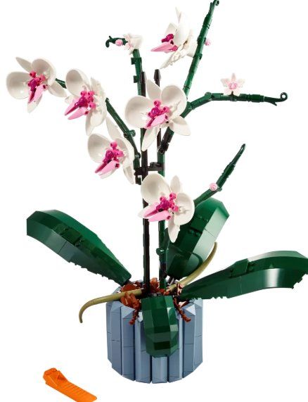 Lego Baukästen: Lego 10311 - Icons Orchid – Neu und originalverpackt aus Winterthur von Binboklem