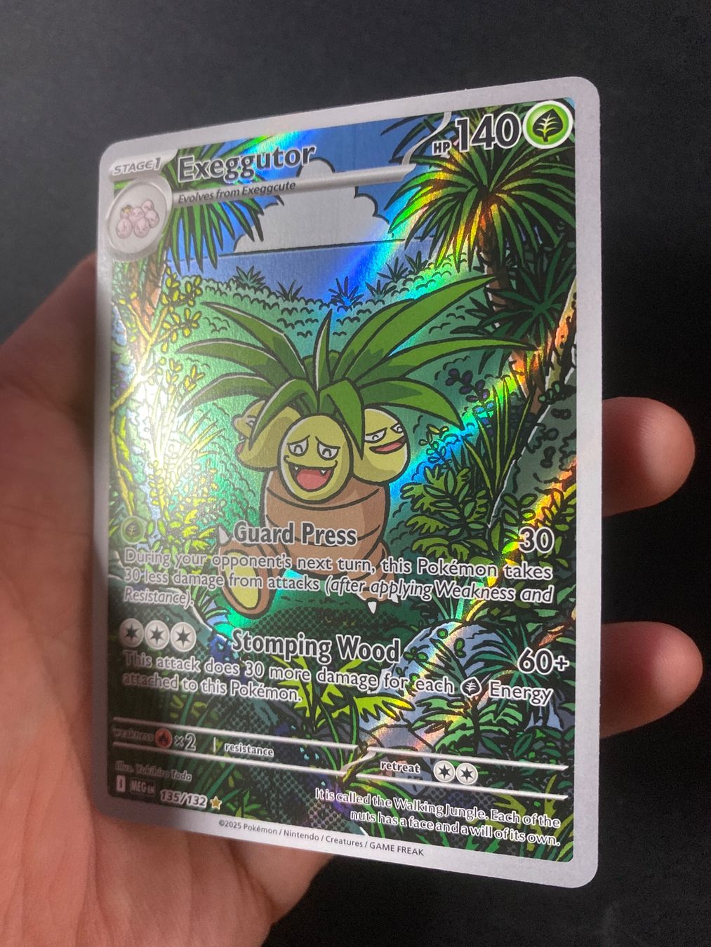 Pokémon Carte collezionabili: Exeggutor 135 - Kokowei - Illust. Rare - Mega Evolution - EN – Nuovo (secondo la descrizione) da Hausen AG venduto da Shrade 2