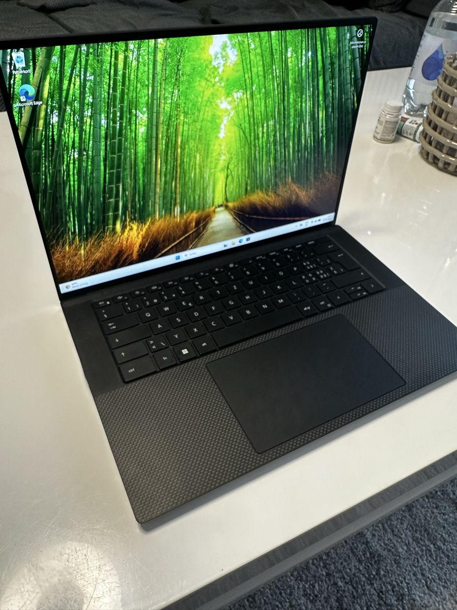Dell Notebook: Dell Precision 5560 64GB RAM 2TB SSD – Usato da Uster venduto da GabrielP05