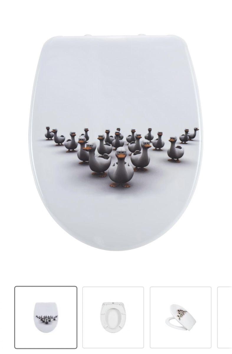 WC: WC-Sitz Duck (ohne Scharniere) – Difettoso da Rueun venduto da Minion76