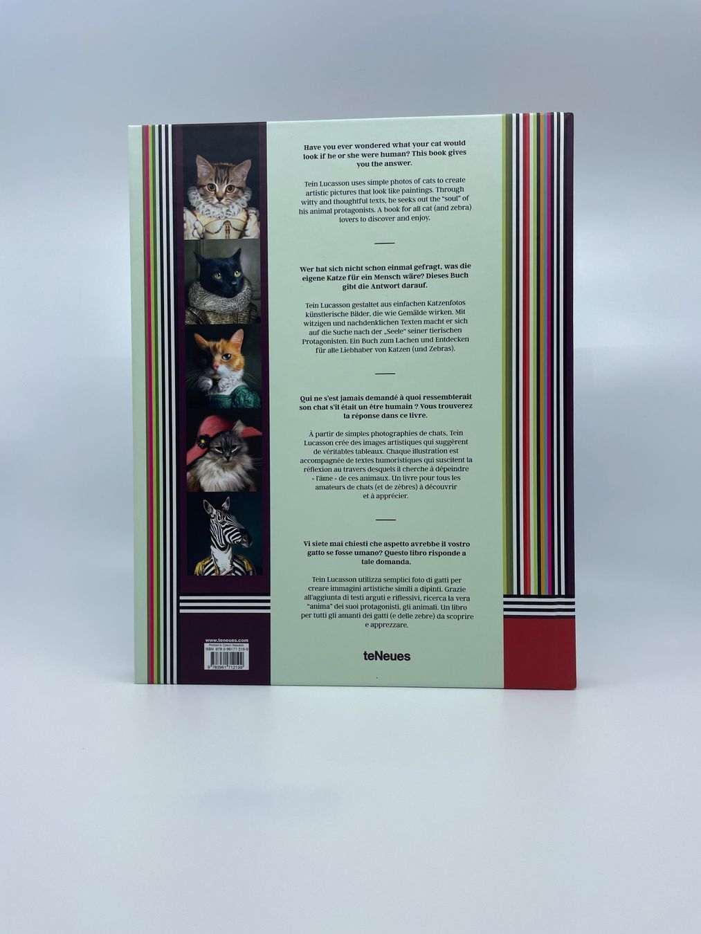 Libri: CAT - by Tein Lucasson – Nuovo (secondo la descrizione) da Pfeffingen venduto da Paco1991 1