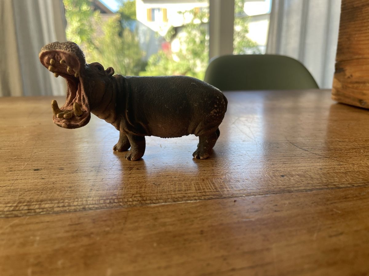Schleich Jouets: Schleich Nilpferd – D'occasion à Bonstetten par soleillle 1