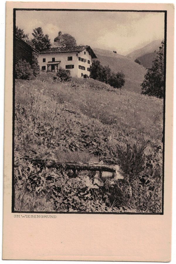 Cartoline postali: Im Wiesengrund (Mischol) – Usato da Frauenfeld venduto da POML