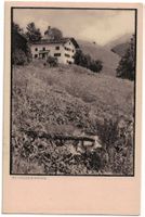 Im Wiesengrund (Mischol)