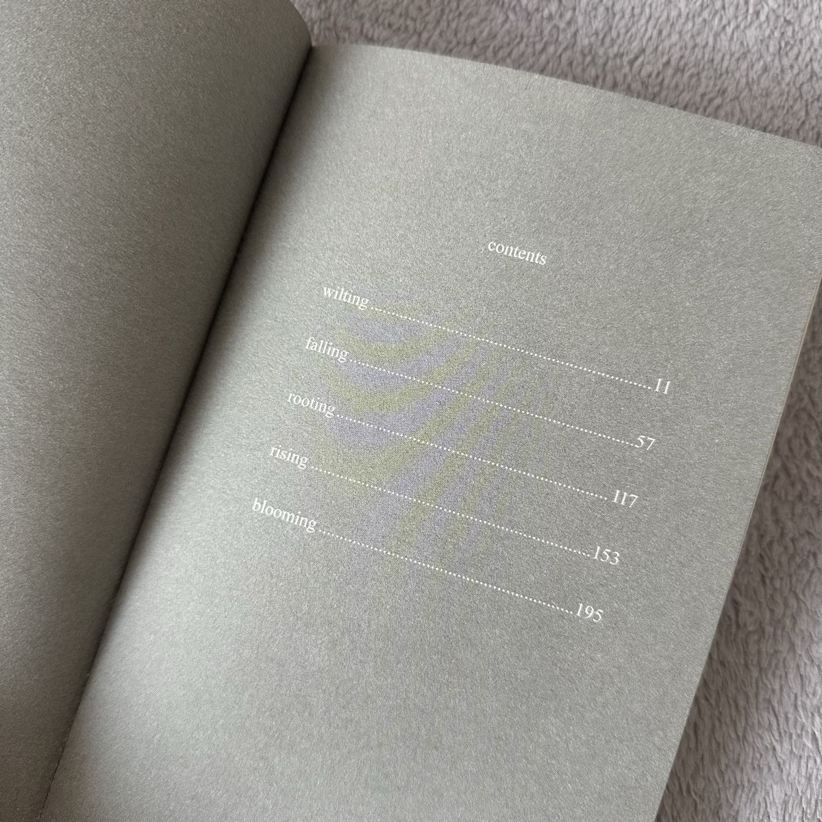 Livres: The Sun and Her Flowers Rupi Kaur – Neuf (Voir description) à Givisiez par dor_xb9k 4