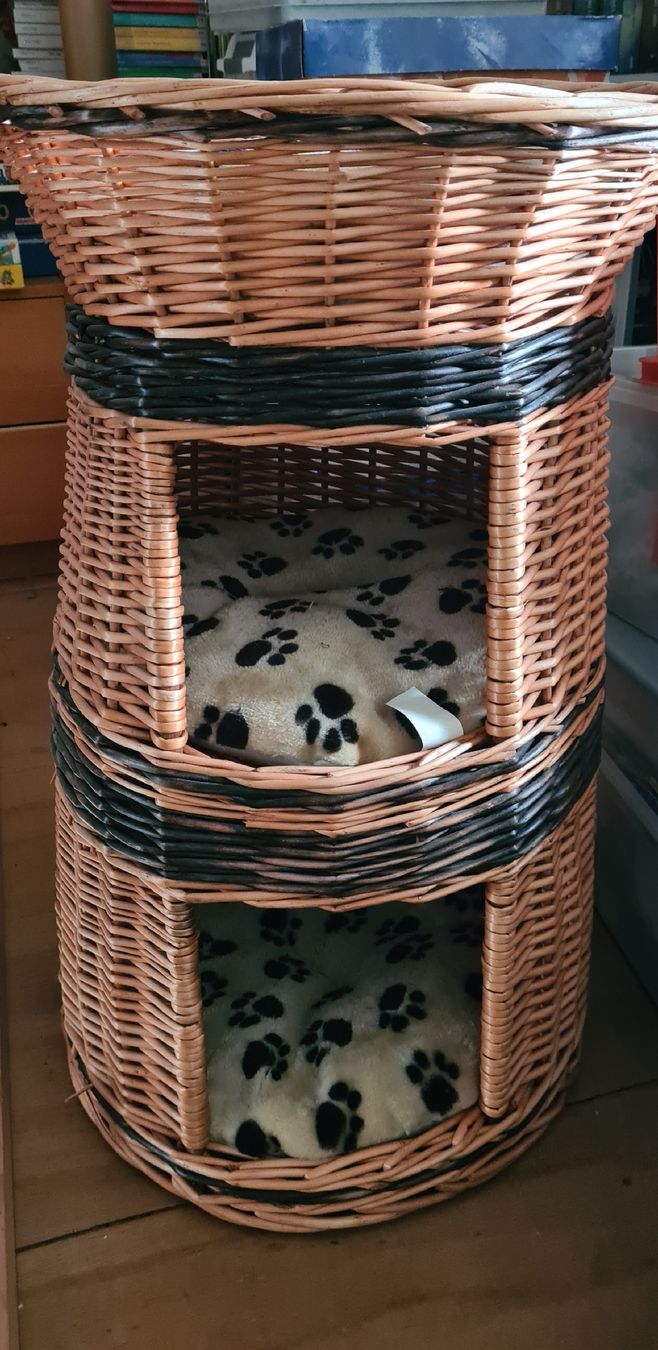 Cucce & Letti: KatzenKorb aus Weide mit 3 Schlafplätzen – Usato da Brugg AG venduto da Romasibe