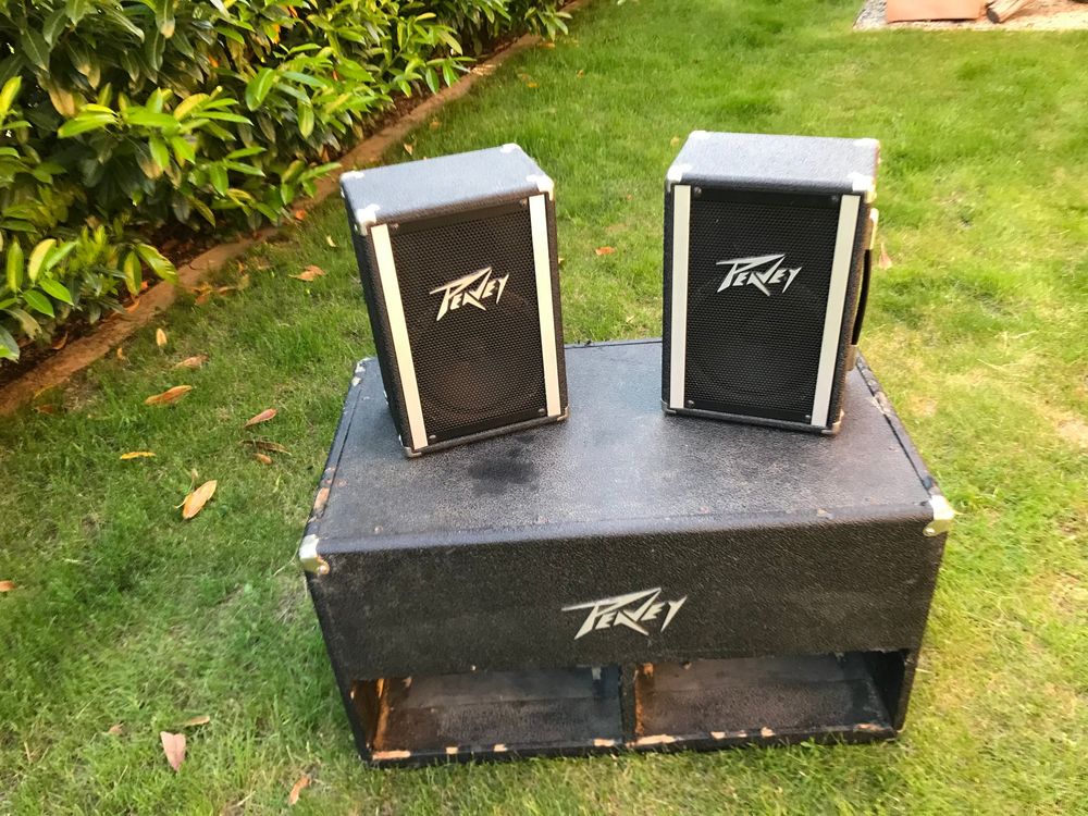 Peavey Triflex Lautsprecher System, 80er Jahre Acheter sur Ricardo