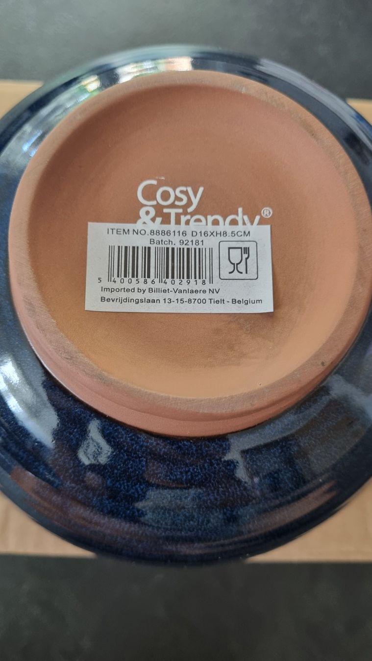 Schalen: Neu 4x schöne Müslischalen von Cosy&Trendy, D16cm – Neu und originalverpackt aus Oftringen von Leleni 2