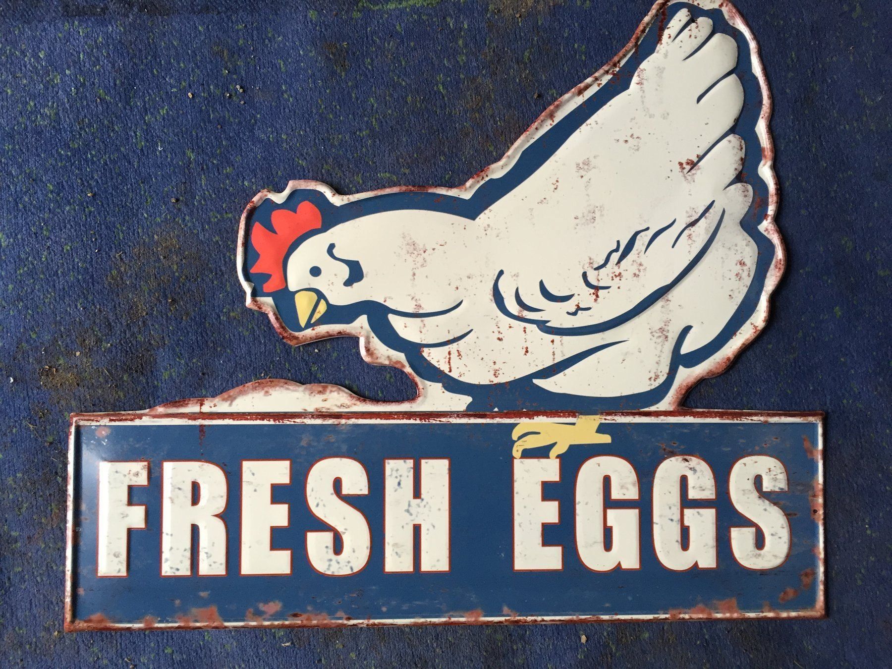 Schilder: fresh eggs frische eier hofladen bauernhof – Neu (gemäss Beschreibung) aus Reinach AG von rares75