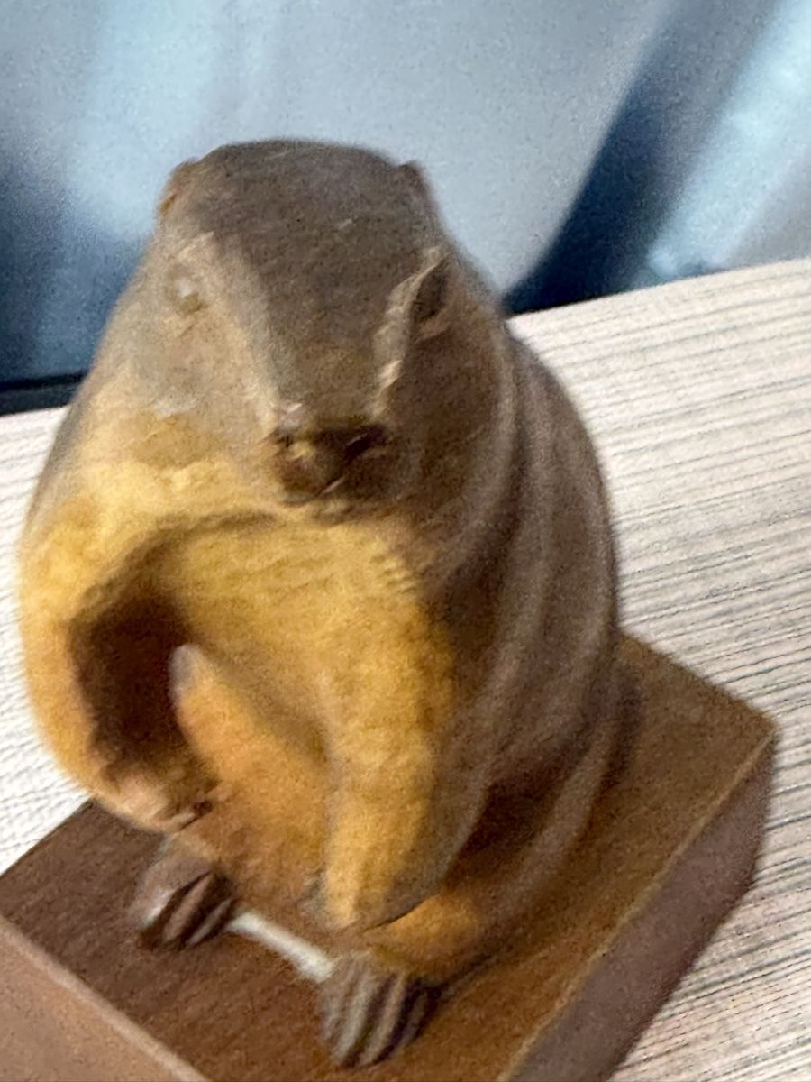Skulpturen & Statuen: Brienzer Holzschnitzerei WEGUMA Murmeltier ca. 22 cm – Gebraucht aus Grenchen von swiss.antiques 7