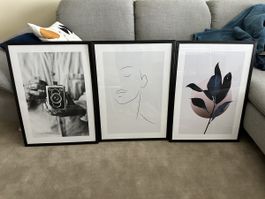 Wall Art Set (3 Pcs) w/ Black Wooden Glass Frames - 52x72cm