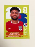 Panini PAN 15 WM2026
