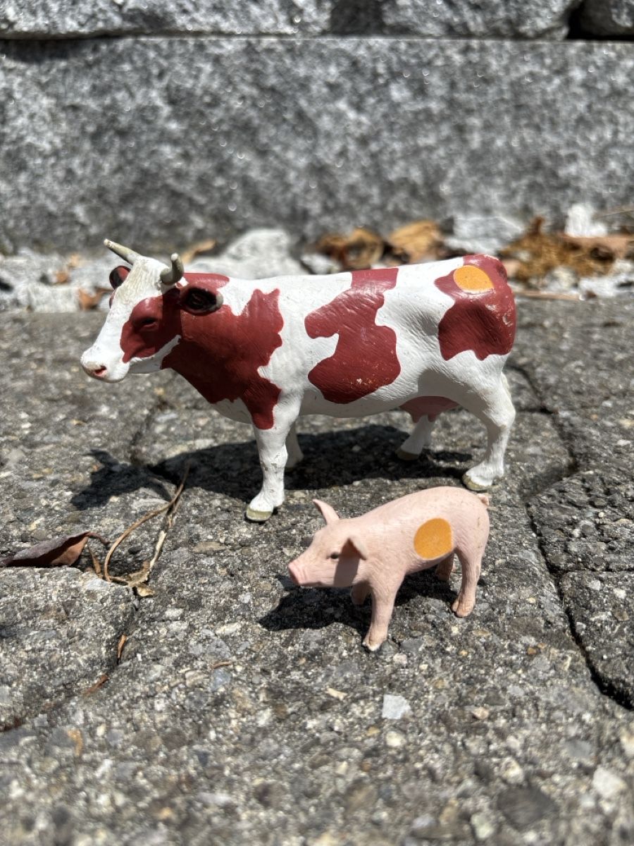 Tiptoi Statuette: Ravensburger tiptoi Figuren – Usato da Widen venduto da Webru80