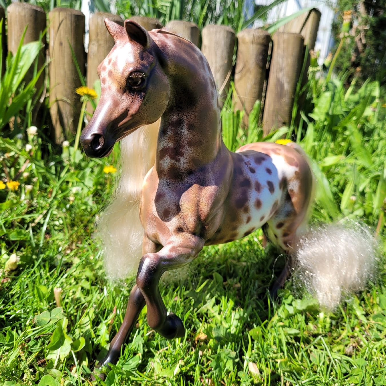 Giocattoli: Barbie Pferd Savanna Repaint/Unikat – Usato da Niederbuchsiten venduto da klengyel 6