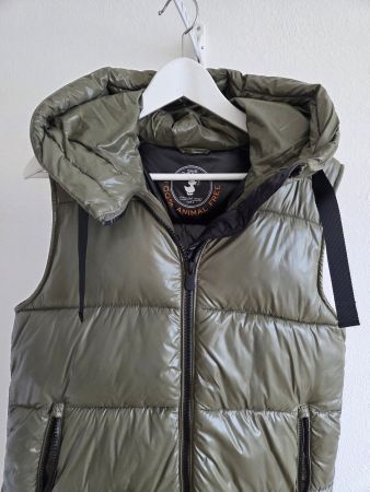 Gilet von SAVE THE DUCK