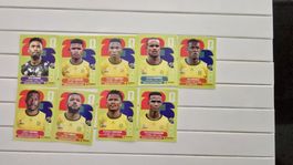 Panini Sticker WM 2026 Südafrika RSA