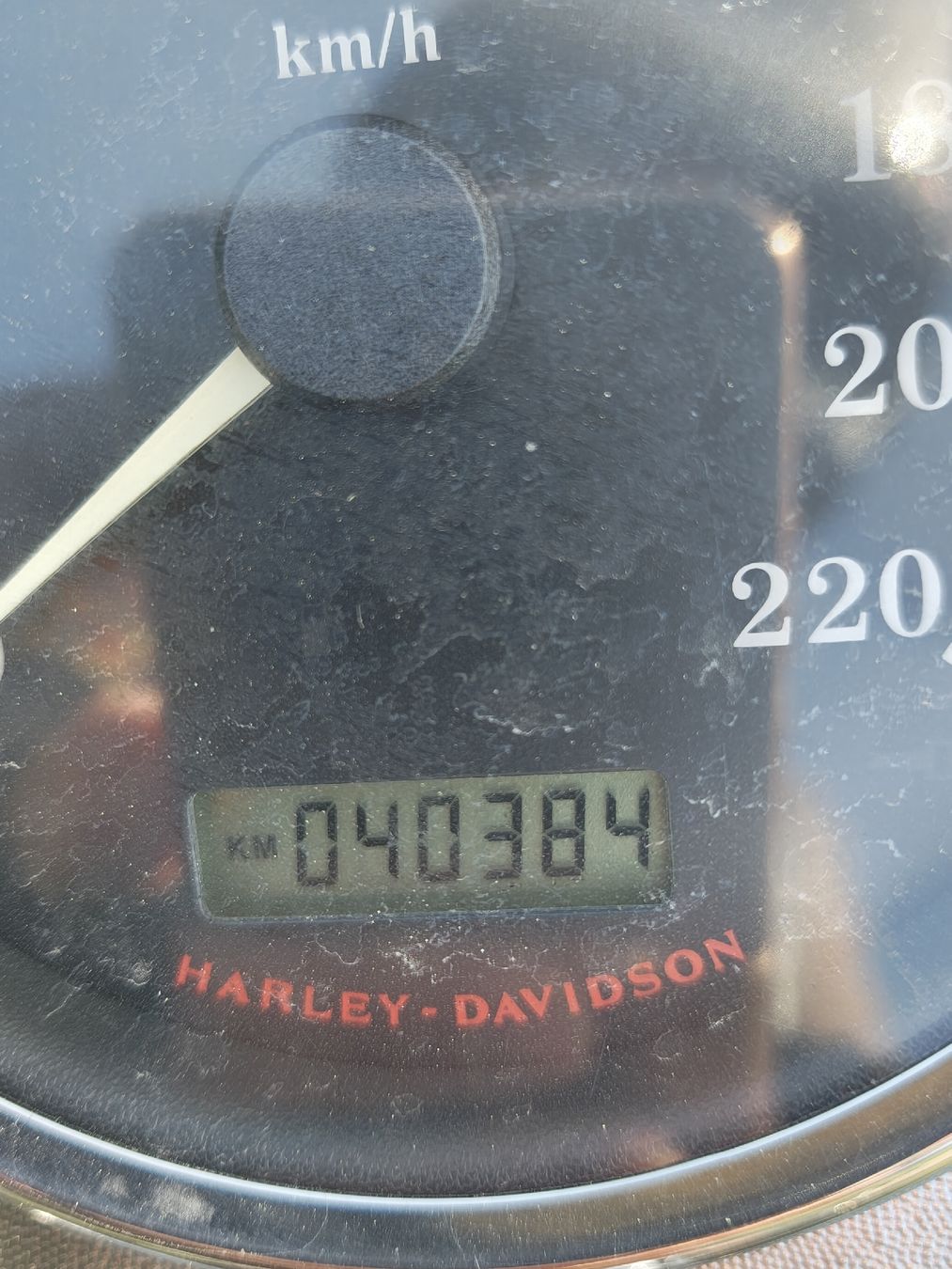 Harley-Davidson Chopper: Harley Davidson Softail classic, frisch ab service. – Gebraucht aus Lufingen von DannyT01 7