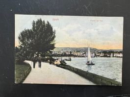 AK  1907  Zürich am See coloriert     (G985)