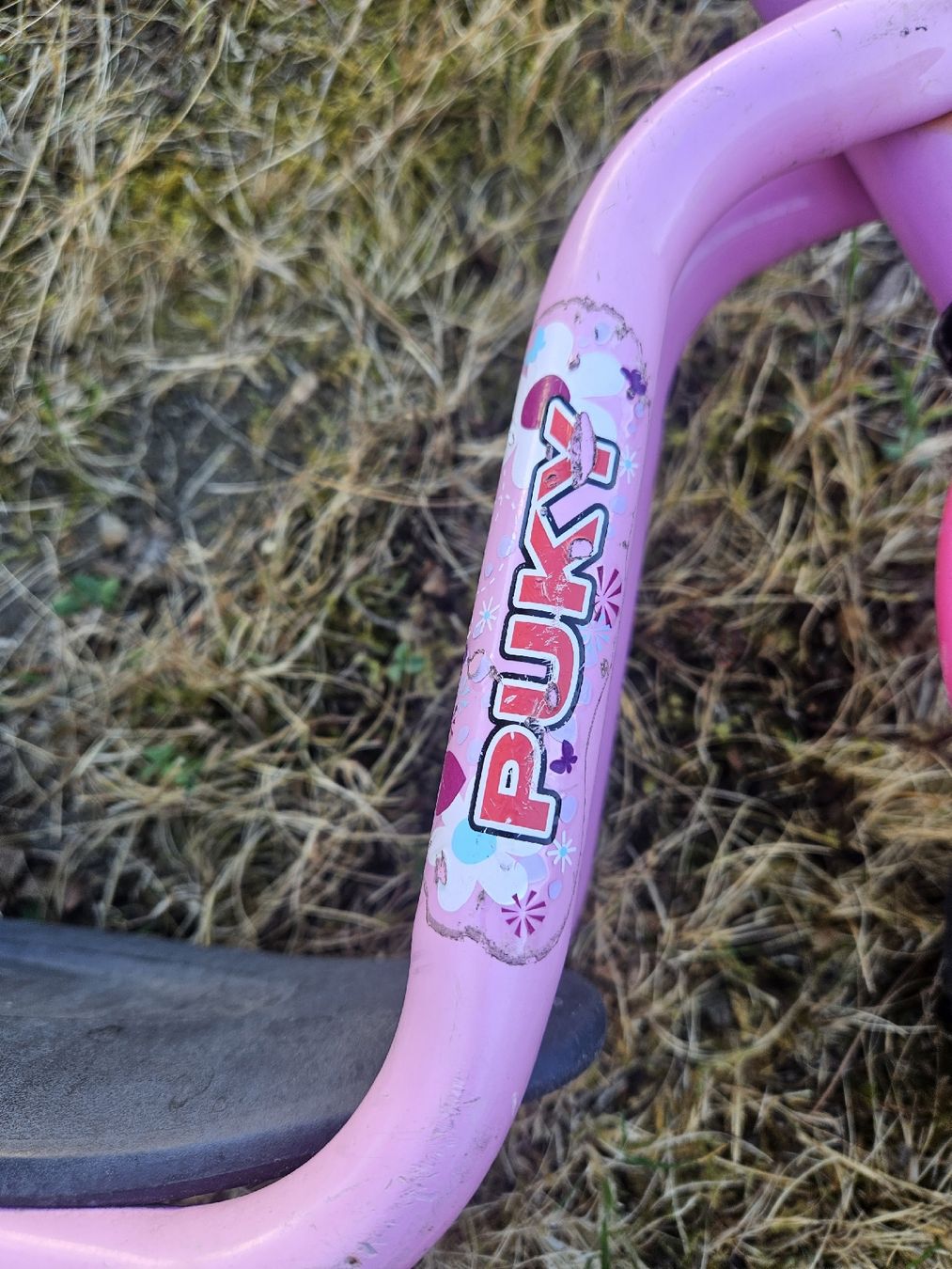 Puky Fahrzeuge für Kinder: Puky Laufrad pink – Gebraucht aus Zürich von Kris8050 2