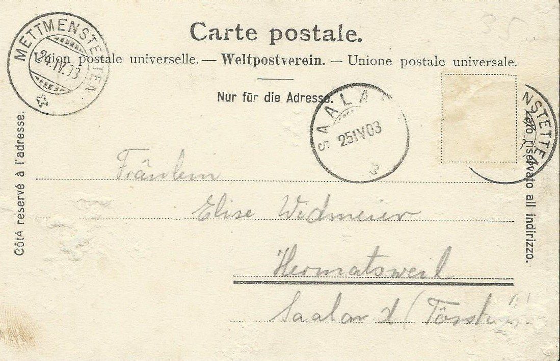 Cartoline postali: alte AK Mettmenstetten 1903 – Usato da Hedingen venduto da Protechnica 1