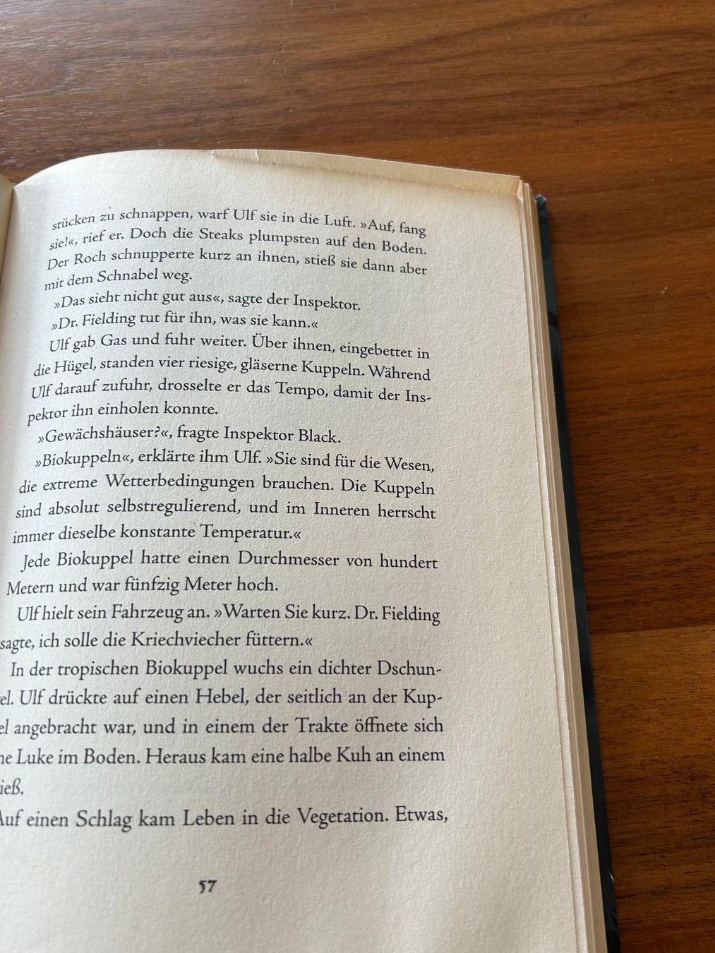 Libri: Monster & Co - Werwolf im Einsatz – Usato da Dietlikon venduto da Mankai 6