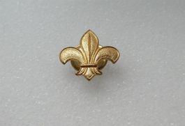 Pfadfinder Knopfloch Abzeichen golden
