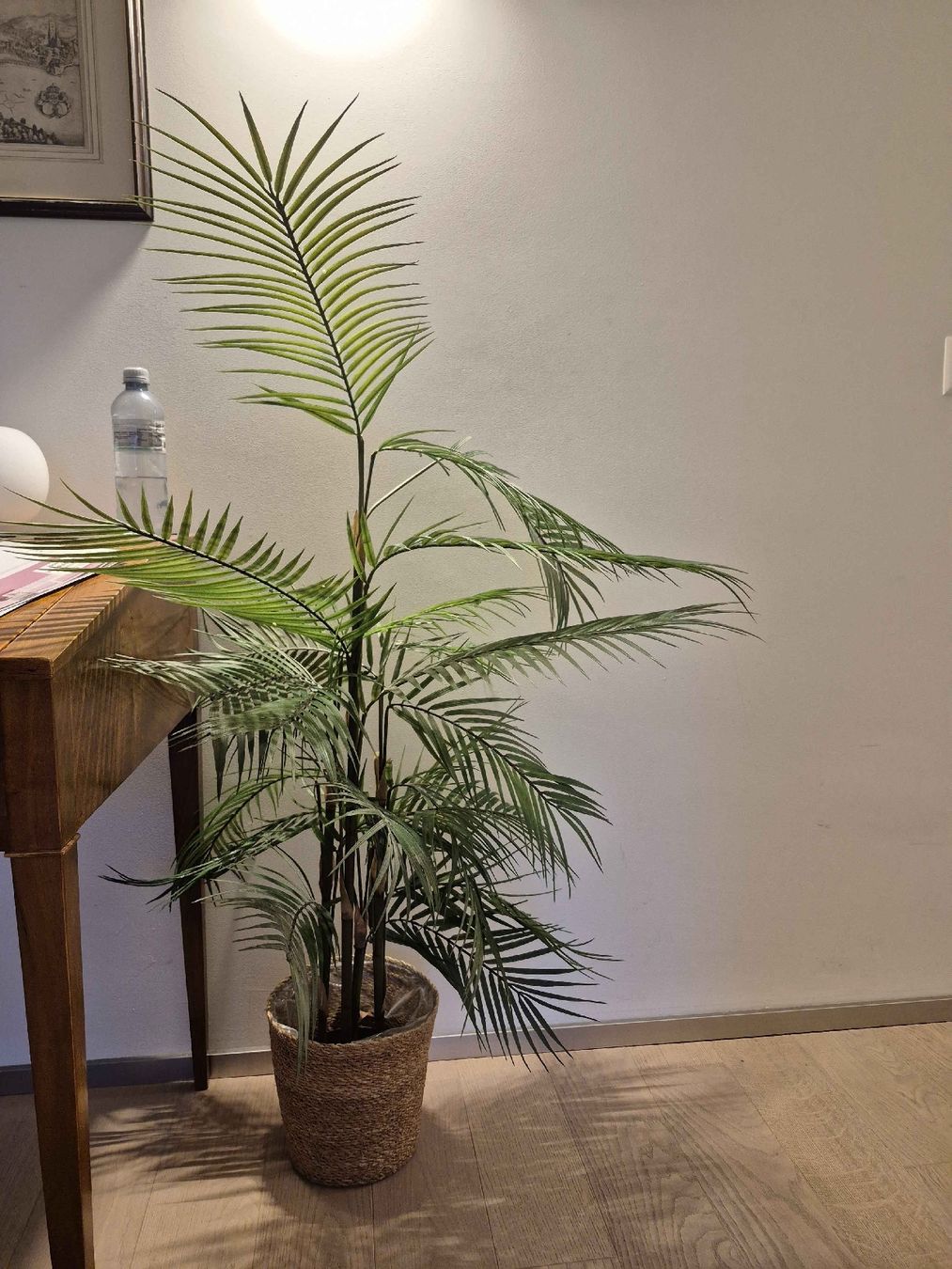 Piante & sementi: Künstliche Areca Palme – Usato da Sempach venduto da bue_d27g 1
