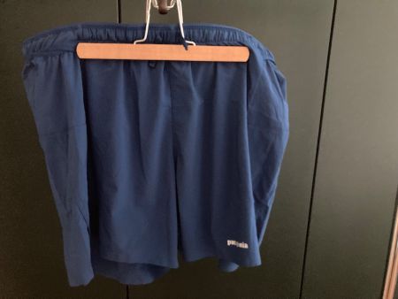Patagonia · Strider Pro Shorts · 5 IN. · L · Clement Blue
