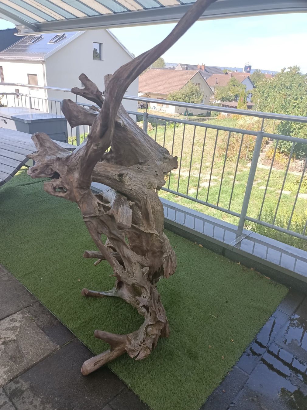 Holzartikel: Aquarium oder Terrarium Wurzel XXL – Gebraucht aus Mettmenstetten von Motoro66 2