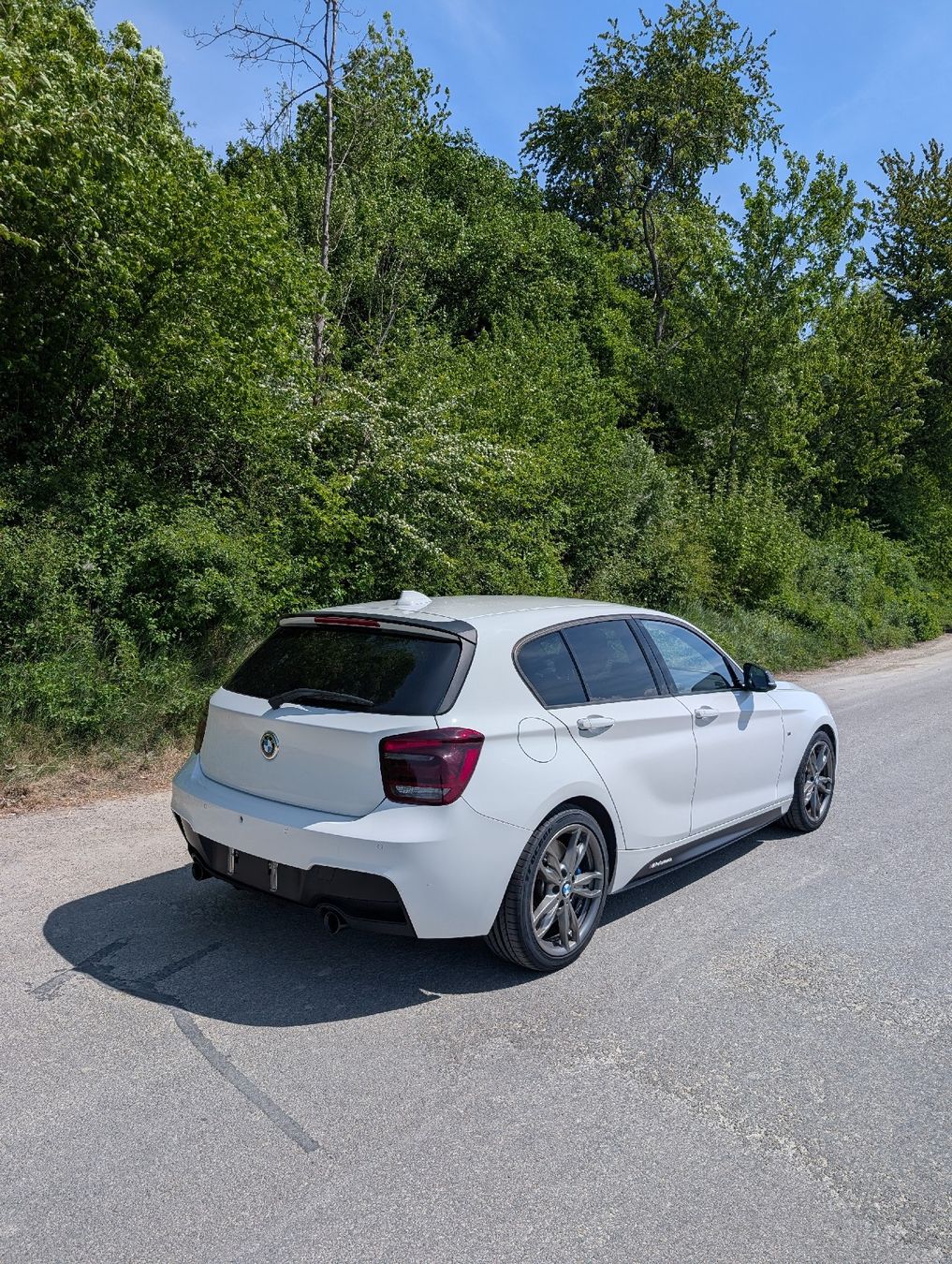 BMW Automobili: BMW M135i xDrive – Usato da Wichtrach venduto da Bujasi 3