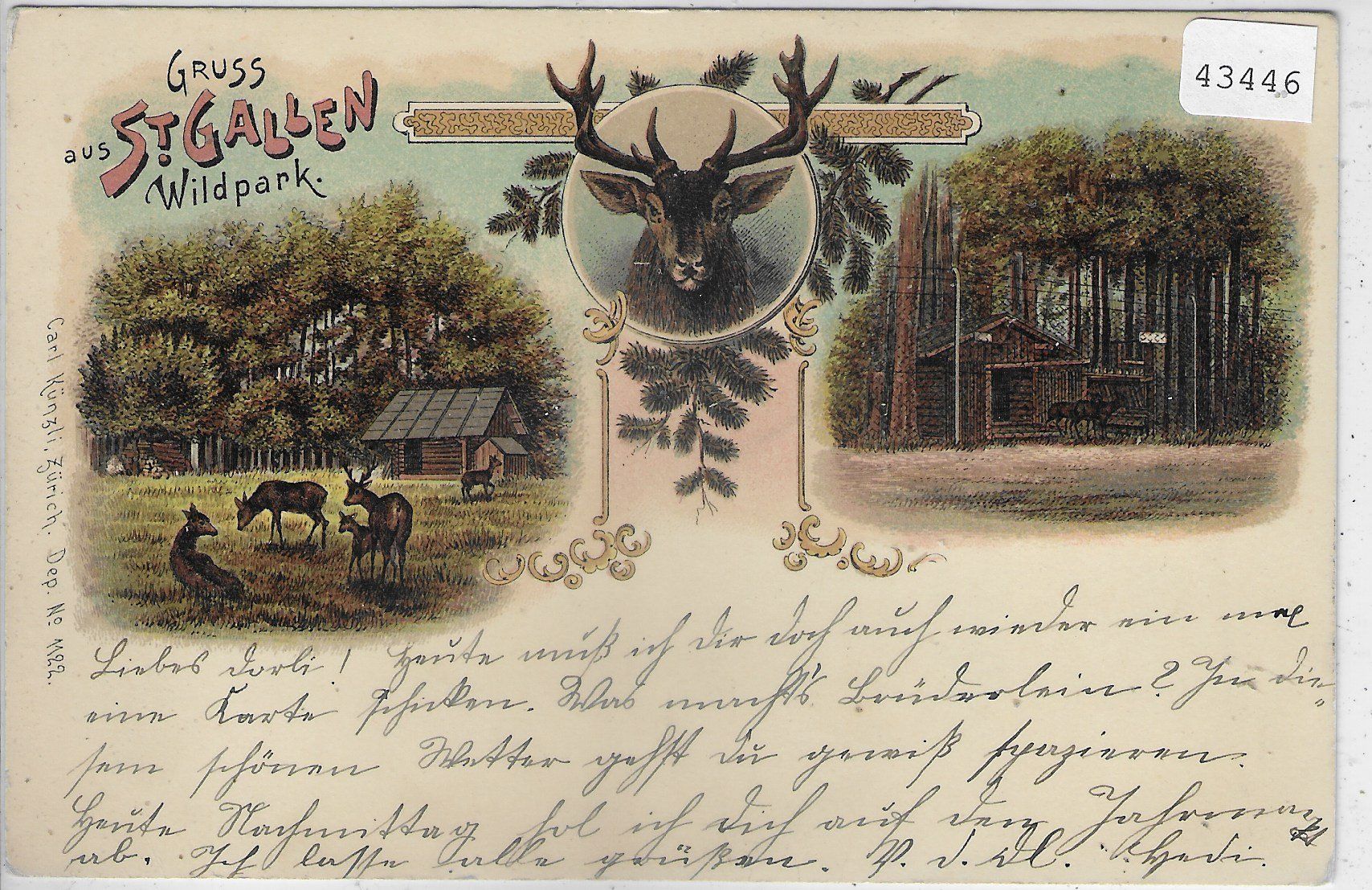 Ansichtskarten: Gruss vom Wildpark St. Gallen - Litho – Gebraucht aus Ettingen von Kartenplanet