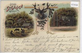 Gruss vom Wildpark St. Gallen - Litho