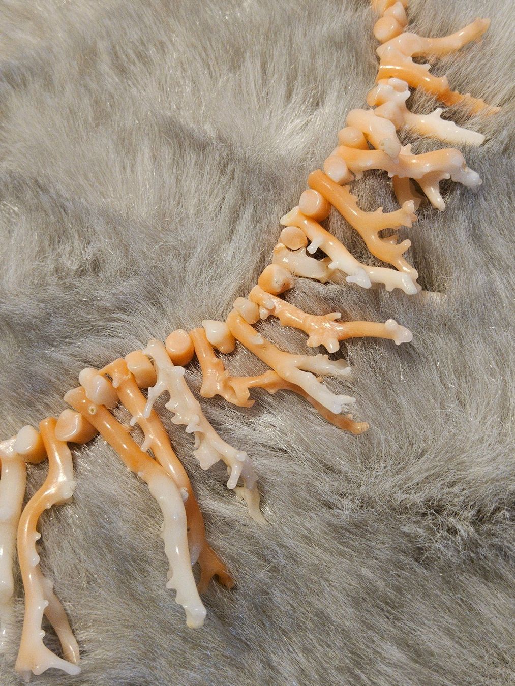 Catenine: Schicke Engelshautkoralle Halskette Chocker Collier – Usato da Zürich venduto da SciTec 4