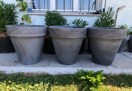 Blumentopf Pflanzentopf Pflanzengefäss Pflanzen Blumen Topf