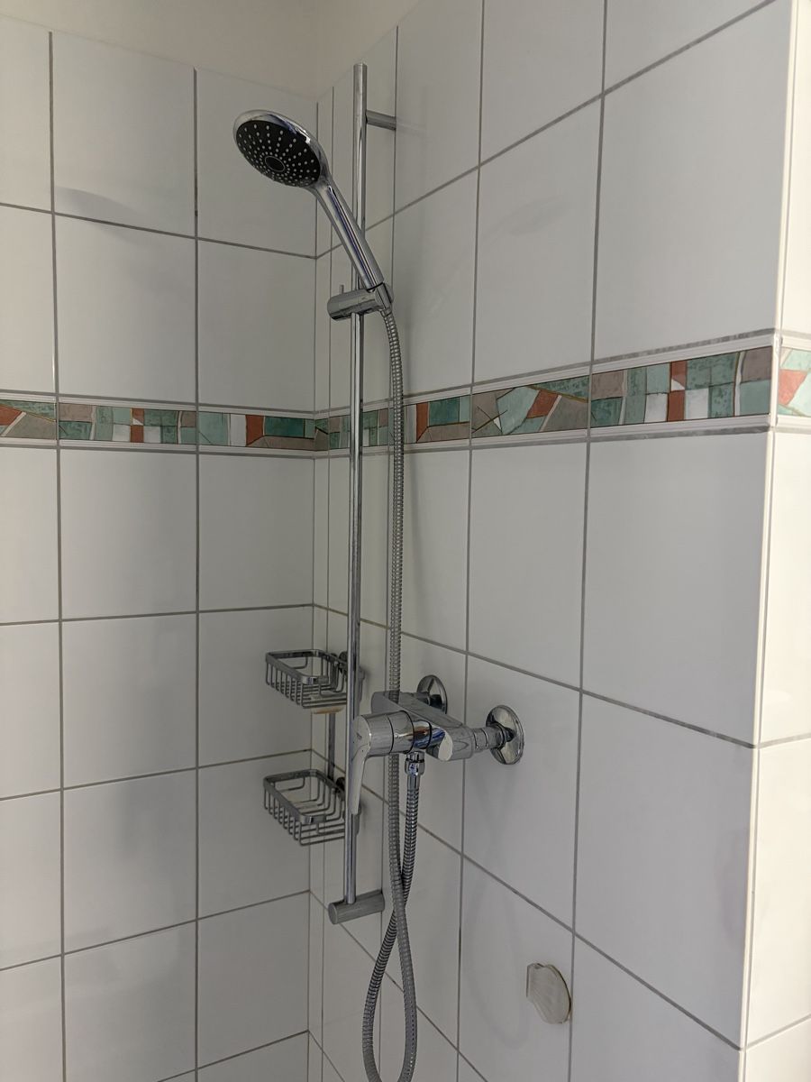 Grohe Duschbrausen: Grohe Duschamatur mit Handbrause – Gebraucht aus Schaffhausen von Evreskl91