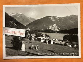 1955 Champex et Gd. Combin, Wallis