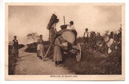 WEINLESE im Waadtland, Stempel Eidg. Schützenfest Aarau 1924