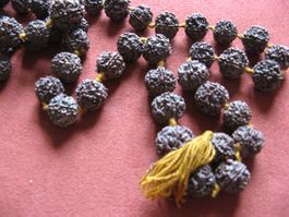 Rudraksha Kette
