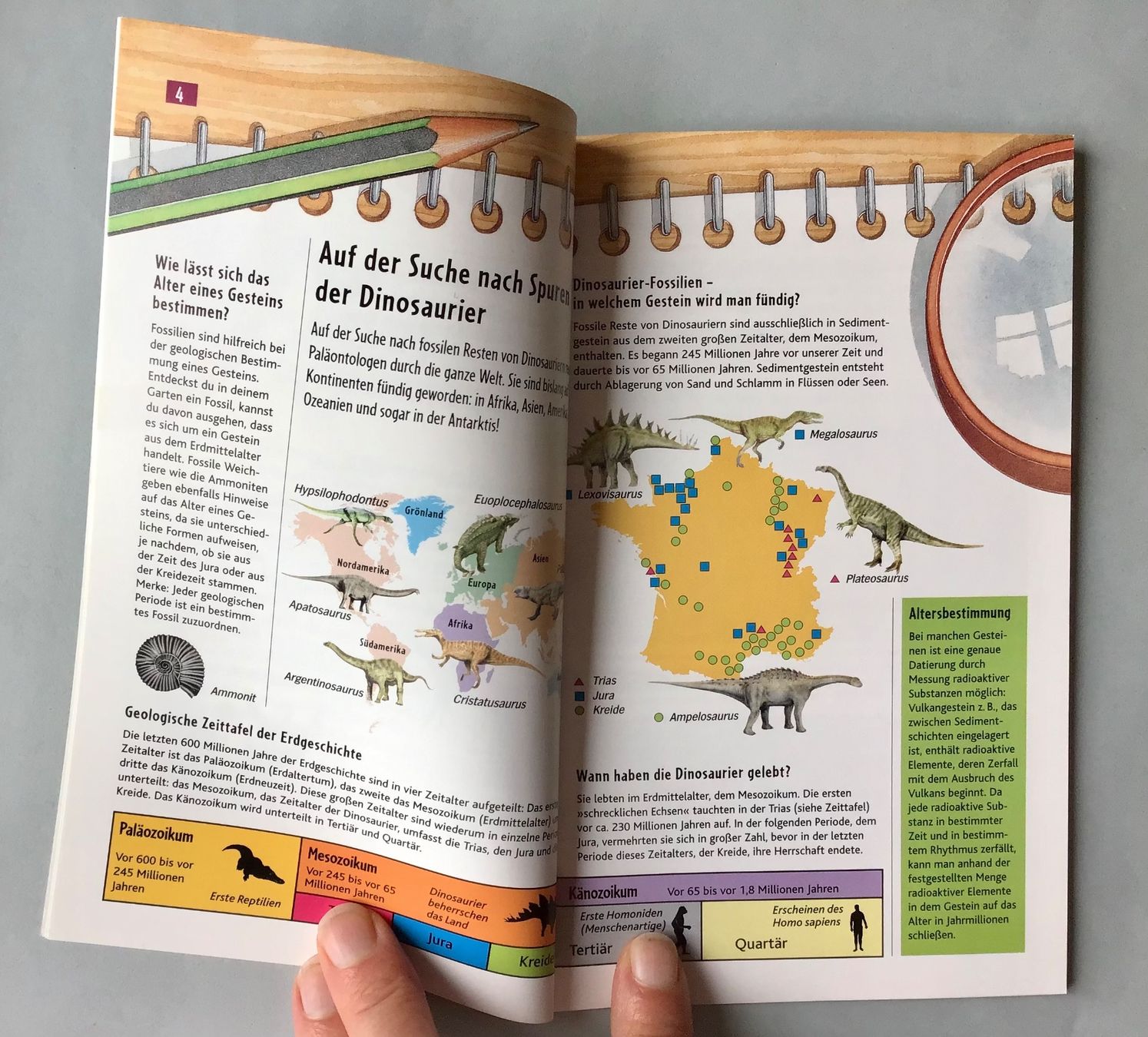 Libri: Auf den Spuren der Dinosaurier! – Nuovo (secondo la descrizione) da Bubendorf venduto da Alpenheidi 4