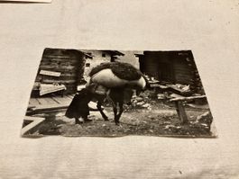 La Sage pendant les foins 1960