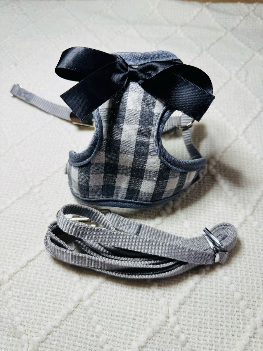 Collier et laisse: Süsses Hunde- oder Katzengeschirr NEU – Neuf (Voir description) à Eschlikon TG par little.dove