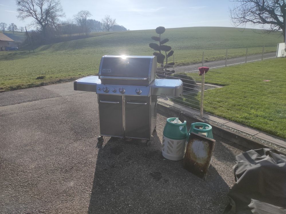 er Genesis 330 Kaufen auf Ricardo