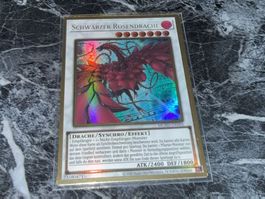 Yu-Gi-Oh! / Schwarzer Rosendrache (Premium Gold Rare)