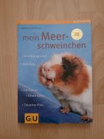 mein Meerschweinchen