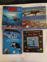 4 Bücher Meer, Haie, Wale