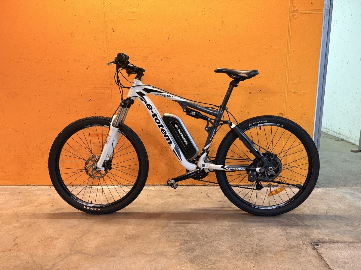 Totem Velos: E-Totem E- Bike Mountainbike – Gebraucht aus Hochdorf von nimsaj.st