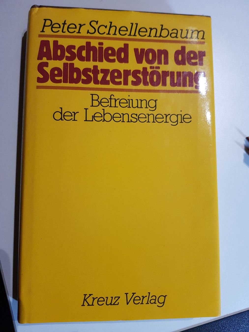 Bücher: Peter Schellenbaum Abschied von der Selbstzerstörung 1987 – Gebraucht aus Walterswil BE von Lonitti