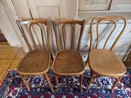7 Stk. Vintage Bugholz Stühle, Thonet Stil, Holz