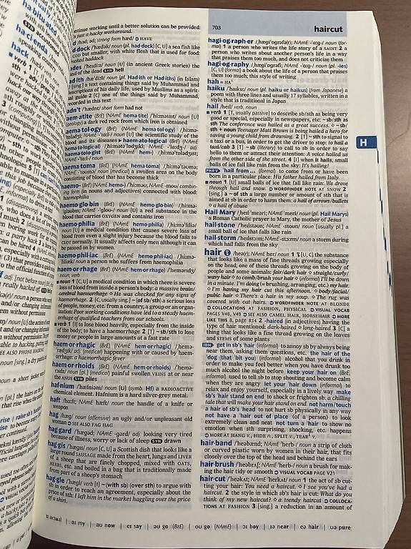 Libri: Oxford Advanced Learner's Dictionary (9th Edition) – Usato da Siebnen venduto da nin_s5wj 3